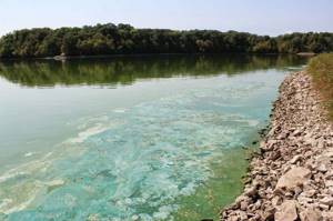 Острая проблема: самые загрязненные реки планеты, Миссисипи