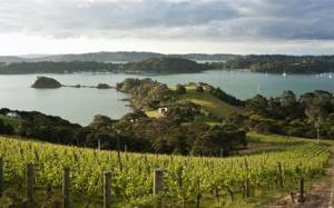 Самые красивые острова в мире – топ 10, Вайхеке, Новая Зеландия