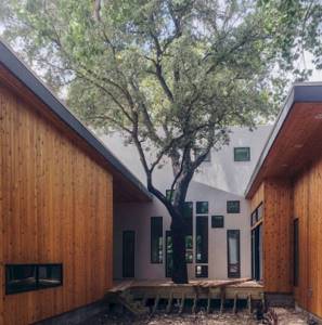 12 сооружений, построенных вокруг деревьев, Частный дом в Остине, Техас