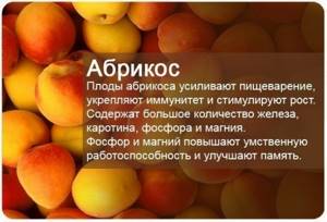 Польза фруктов в картинках, Абрикос
