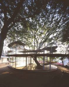 12 сооружений, построенных вокруг деревьев, Кольцо вокруг дерева, Токио, Япония
