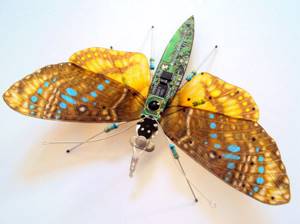 Удивительное преображение старых компьютеров: бабочки и жуки из техномусора, Золотистый мотылек