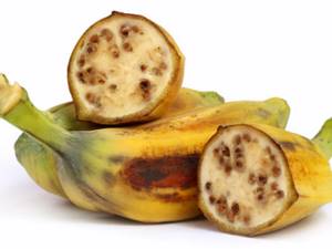 Как выглядели овощи и фрукты, пока человек их не «одомашнил», Банан