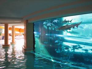 Топ самых необычных бассейнов мира, Отель “Golden Nugget”, Лас-Вегас, США