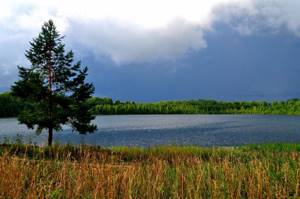 20 шикарных фотографий природы, которые убедят вас, что Россия — самая красивая страна, Озеро Светлояр