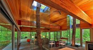 12 сооружений, построенных вокруг деревьев, Частный дом в Западной Вирджинии, США