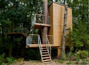 12 сооружений, построенных вокруг деревьев, Апартаменты в Польше. Здесь дерево – часть дизайна