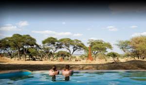 Топ самых необычных бассейнов мира, Отель “Sanctuary Swala Camp Retreat”, Национальный парк Тарангире, Танзания