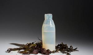 biodegradable-algae-water-bottle-ari-jonsson-2, Изобретение биоразлагаемой бутылки из водорослей, Исландский дизайнер Ари Йонссон