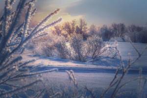 Зима в Мурманской области