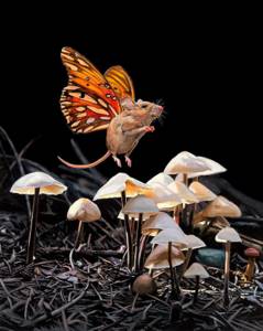 Природный сюрреализм в картинках Lisa Ericson 09