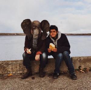 Слон фотографируется в самых печальных местах России 02