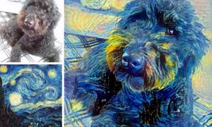 Изображения скомбинированы с использованием нейронных сетей, Сочетание из разных фотографий
