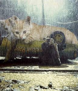 Юрские котята, Замена динозавров кошками, из фильма Юрский парк