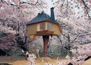 Самые оригинальные дома в мире-34, Чайный домик Tetsu в Японии