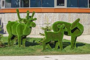 Удивительные зеленые скульптуры сочинского парка