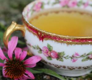 О пользе разных видов чая, Чай из эхинацеи