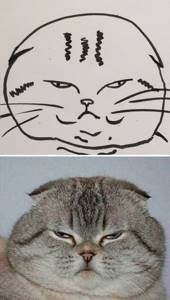 Плохо нарисованная кошка