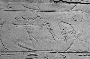 10 фактов о священных животных, которым поклонялись в Древнем Египте, Домашнее животное – гиена