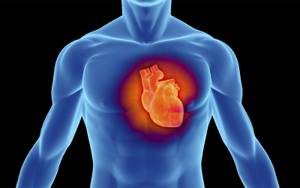 Как накачать сердечную мышцу