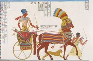 10 фактов о священных животных, которым поклонялись в Древнем Египте, Охота с гепардами