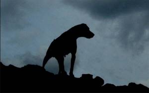 8 реальных фактов о самом известном вымышленном сыщике Шерлоке Холмсе, Собака Баскервилей