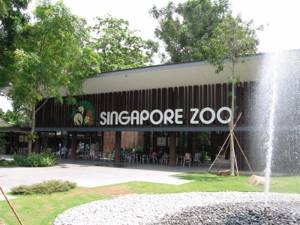 Самые красивые зоопарки мира