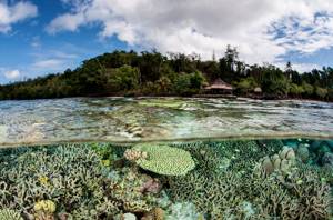 Соломоновы острова: фоторепортаж из райского уголка