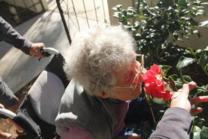 90-летняя женщина, больная раком, выбрала эпичное путешествие вместо лечения онкология, путешествия, пожилая женщина, длиннопост