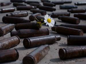 flower-tree-growing-concrete-pavement-105