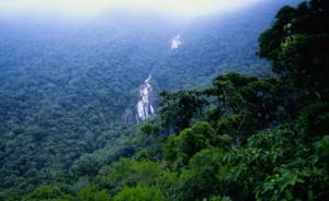Белые пятна нашей планеты, Тропические леса Амазонки