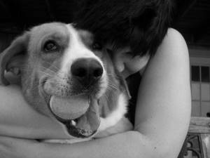 9 научно подтвержденных причин завести собаку, Собаки преданные