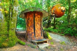 Оригинальный отель в лесу на острове Ванкувер