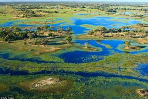 10 красивейших мест на Земле, ещё не испорченных толпами туристов, Сафари-туры от Wilderness Safaris в Ботсване