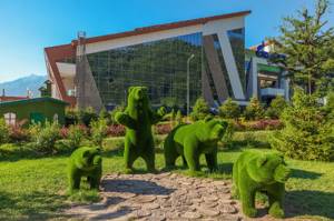 Удивительные зеленые скульптуры сочинского парка